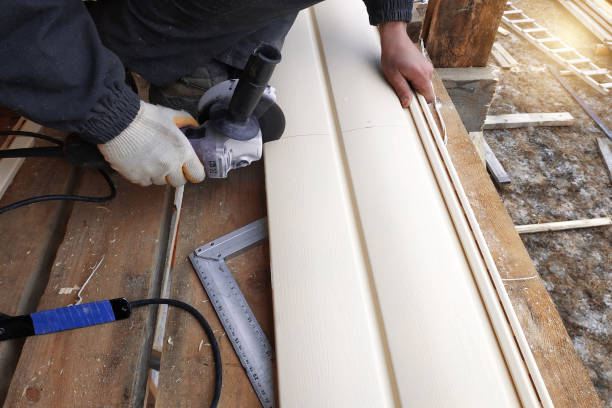 Best Vinyl Siding Installation  in Iowa, LA